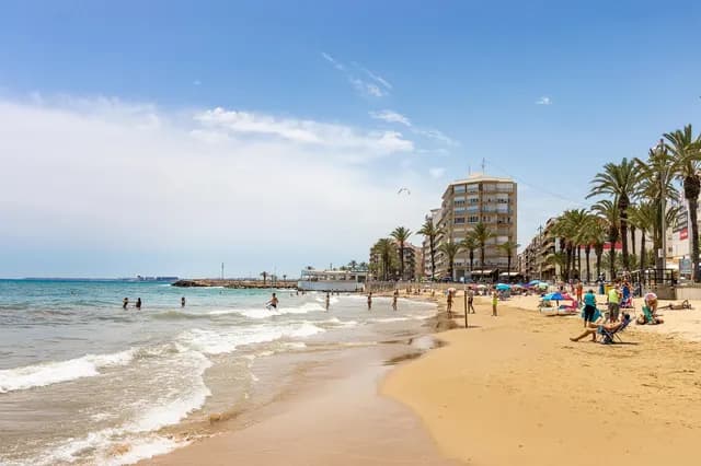 Beach near Apartment Zoa in Torrevieja